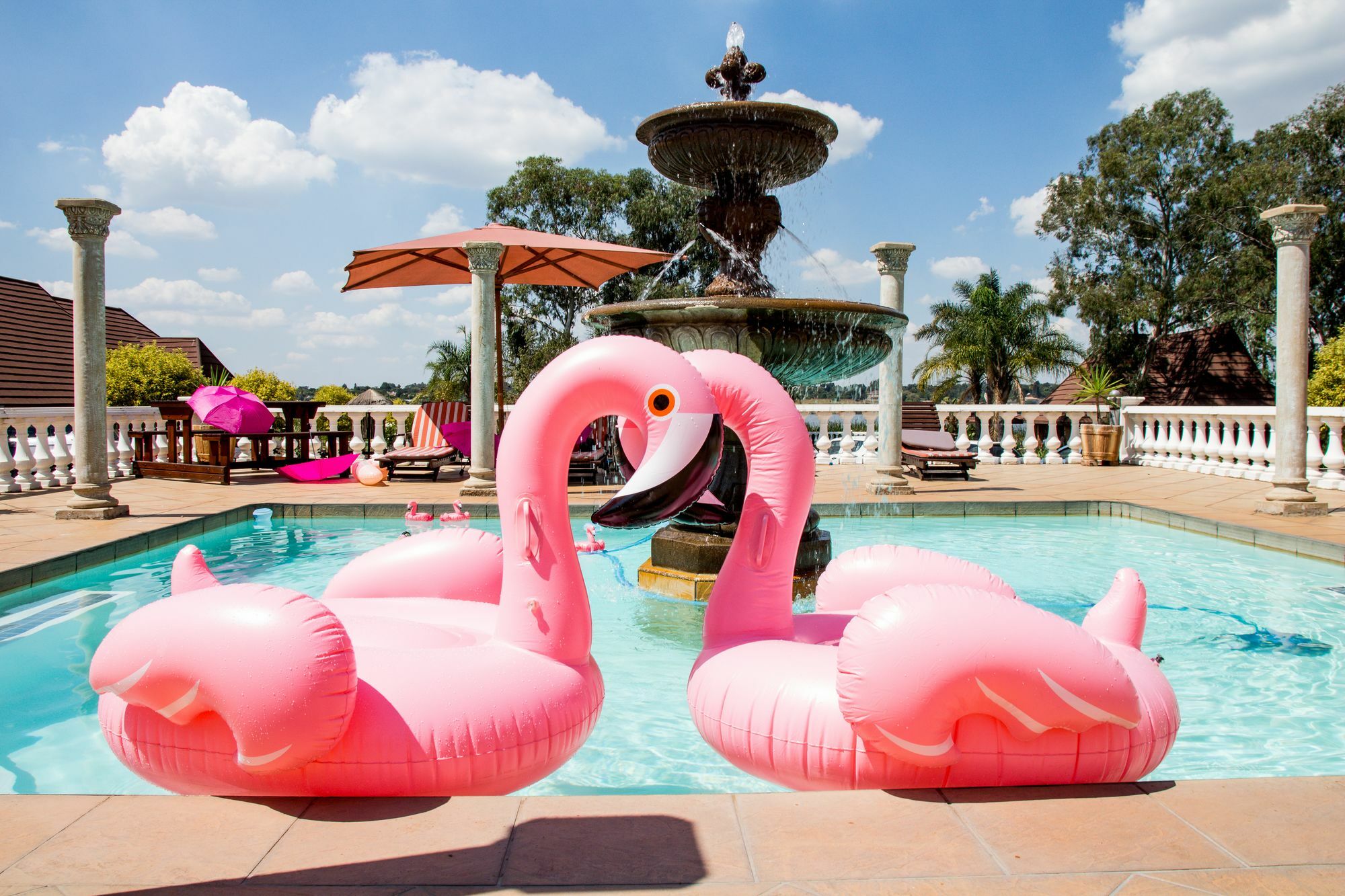 Flamingo'S Nest Guest House Benoni Eksteriør billede